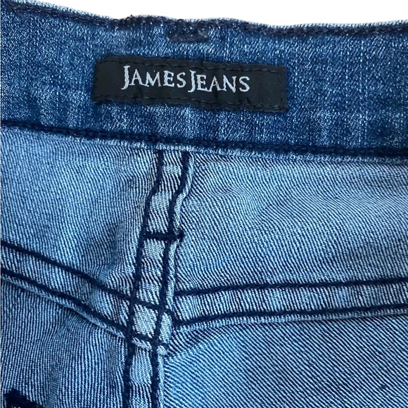 James Jeans Twiggy Ankle - Picture 6 of 8